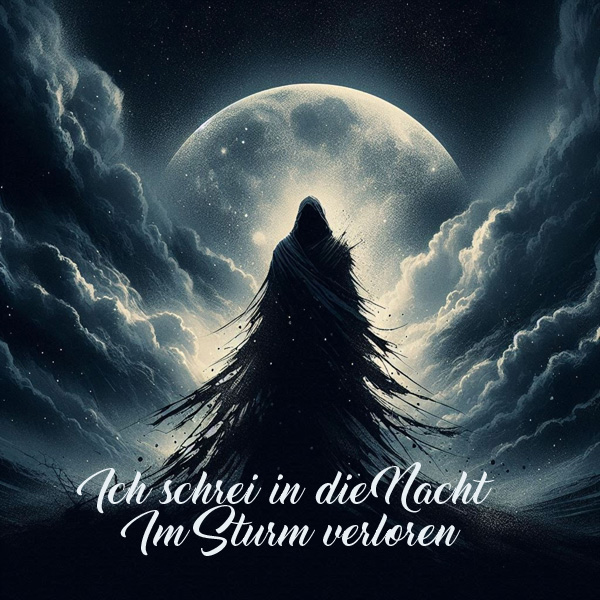Ich schrei in die Nacht - unterstützte Musikproduktion mit Gefühl – Albumcover